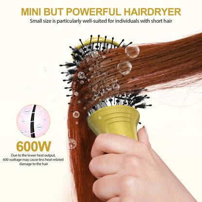 Blow Dryer Brush 10-Inch Dual Voltage Hair Dryer Brush Compact, Portable and Travel-Friendly Hot Air Brush